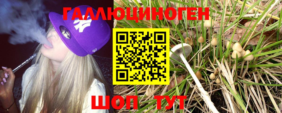 Екатеринбург  Галлюциногенные грибы Psilocybe  Вход с VPN  Псилоцибиновые грибы мухоморы 